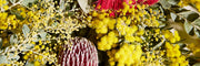 Australian Wildflowers
