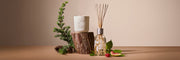 Christmas Diffusers