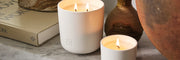 Our Fragrances