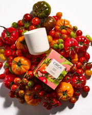 Tomato & Basil