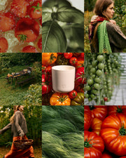 Tomato & Basil